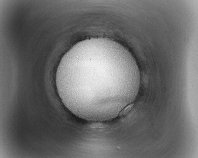 X0000089881489200707191947