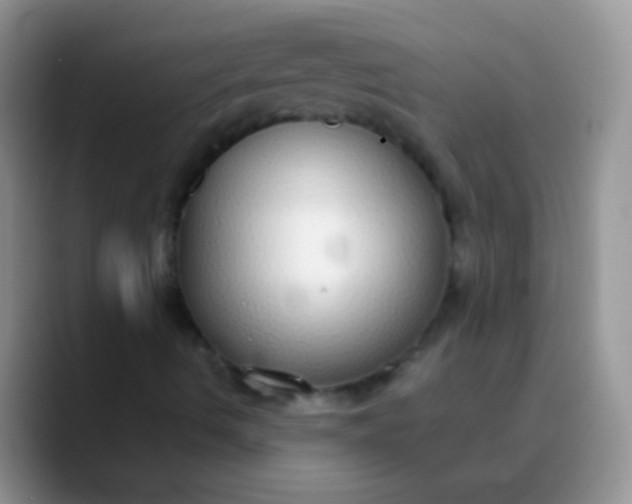 X0000089881490200707191947