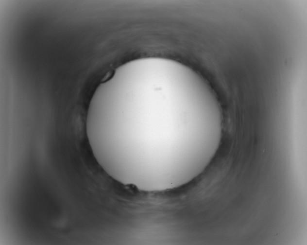 X0000089881493200707191947