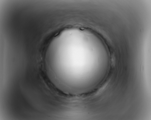 X0000089881494200707191947