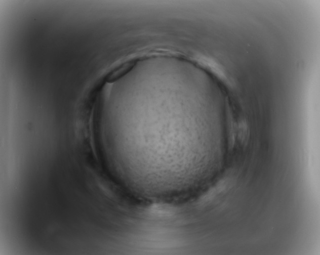 X0000089881496200707191947