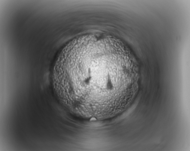 X0000089881497200707191947