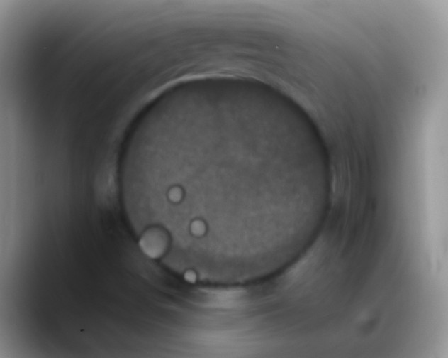 X0000089881498200707191947