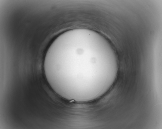 X0000089881499200707191947