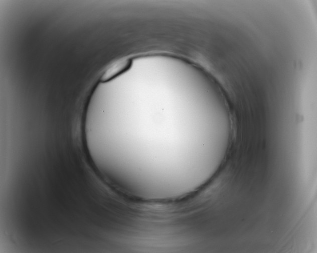 X0000089881500200707191947