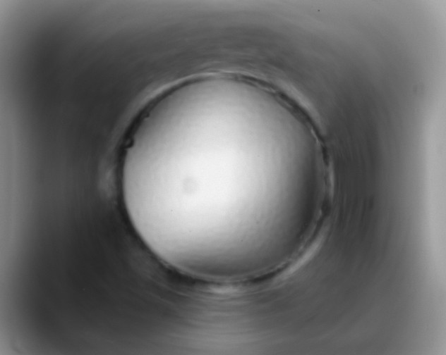 X0000089881501200707191947