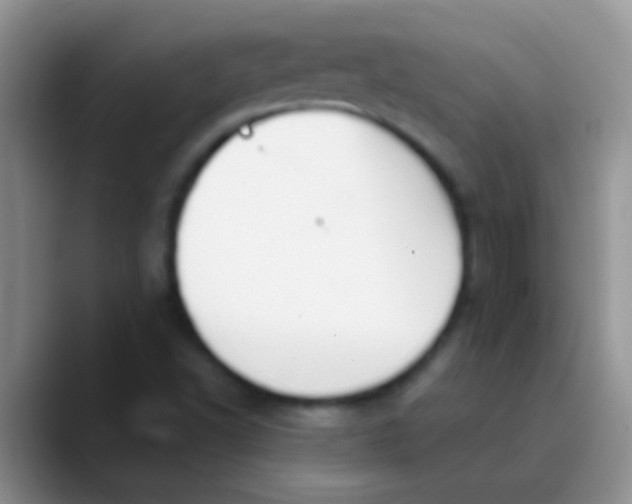 X0000089881502200707191947