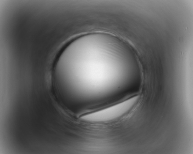 X0000089881503200707191947