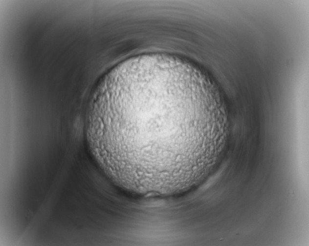 X0000089881505200707191947