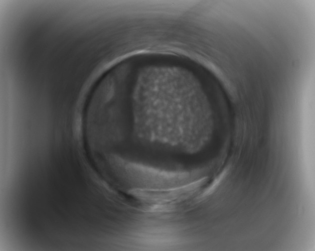 X0000089881506200707191947