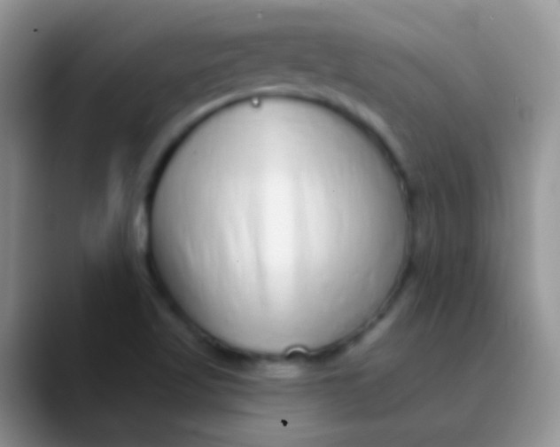 X0000089881509200707191947