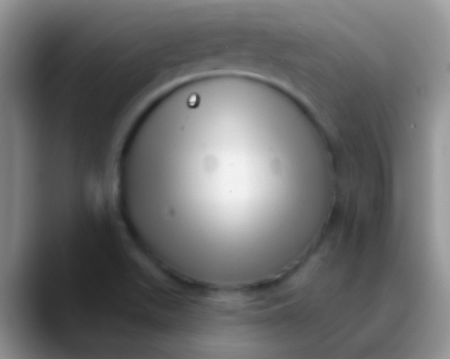 X0000089881511200707191947