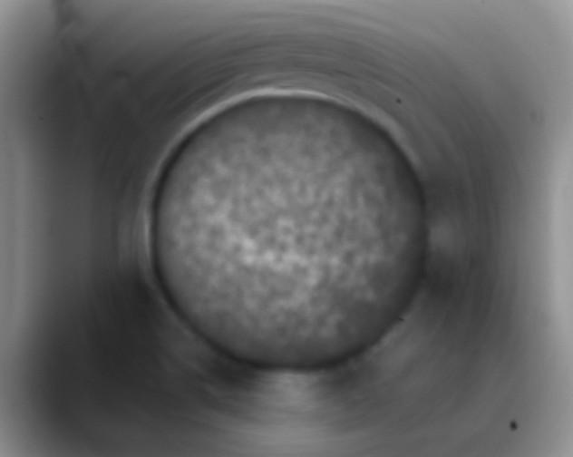 X0000089881514200707191947