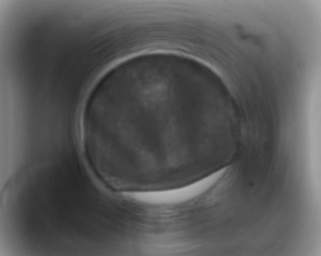 X0000089881515200707191947