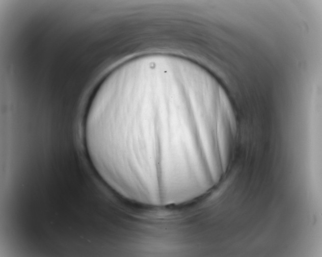 X0000089881517200707191947