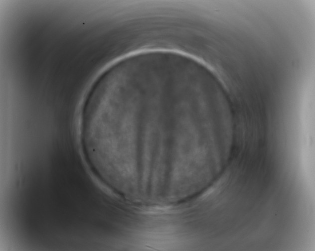 X0000089881519200707191947