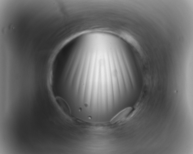 X0000089881520200707191947