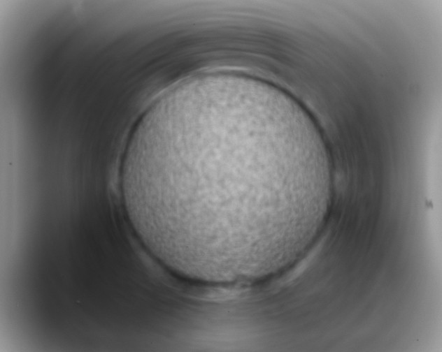 X0000089881521200707191947