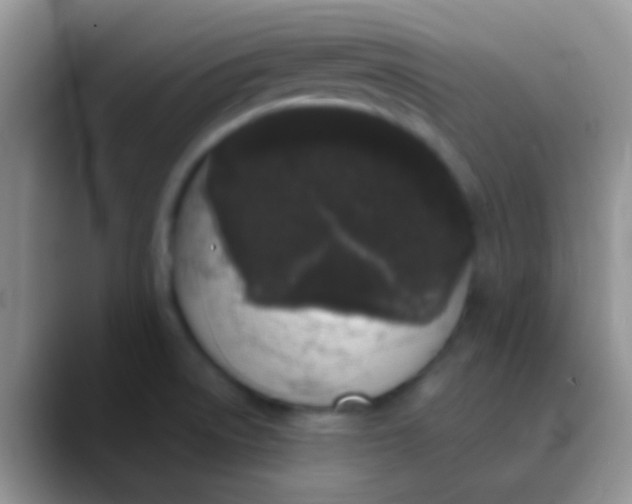 X0000089881522200707191947