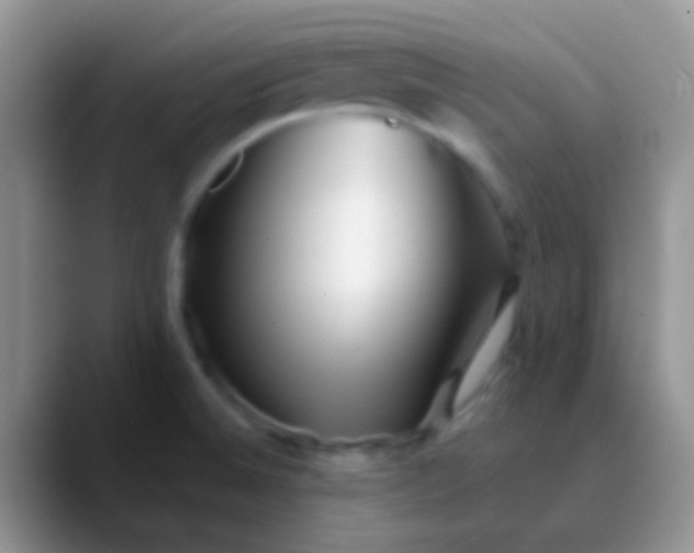 X0000089881524200707191947