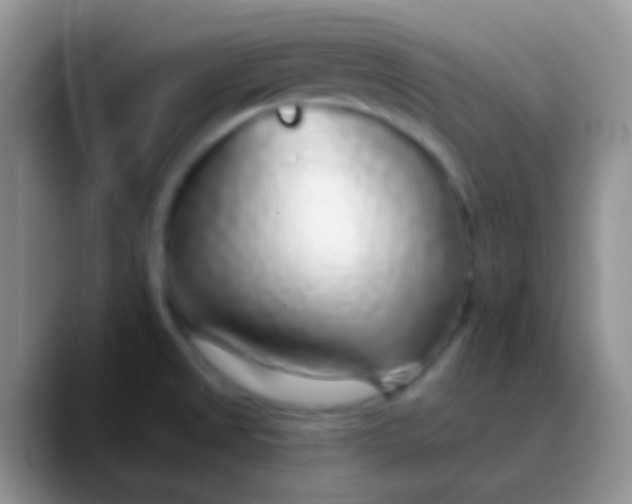 X0000089881525200707191947