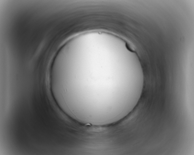 X0000089881526200707191947