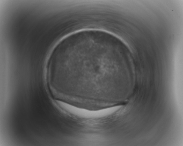 X0000089881527200707191947