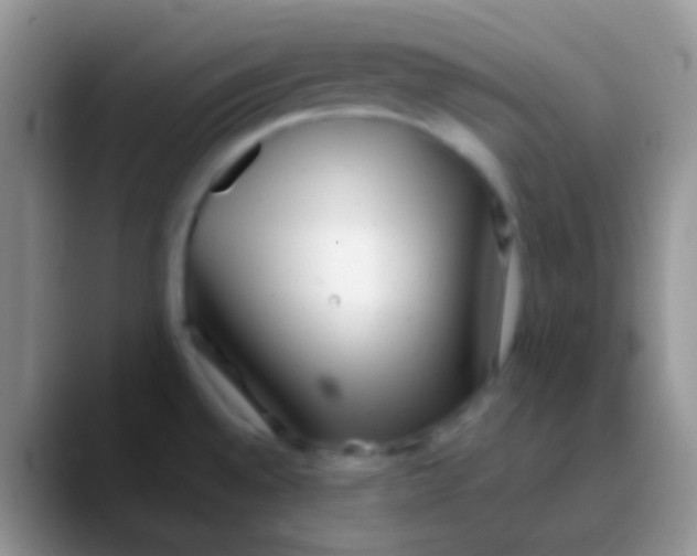 X0000089881528200707191947