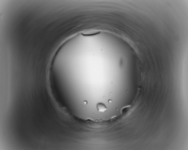 X0000089881530200707191947