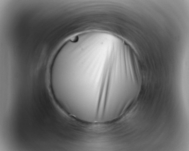 X0000089881531200707191947