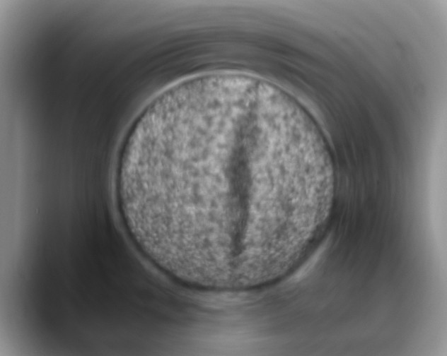 X0000089881533200707191947