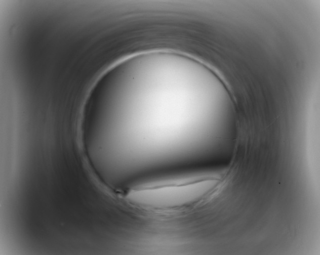 X0000089881534200707191947