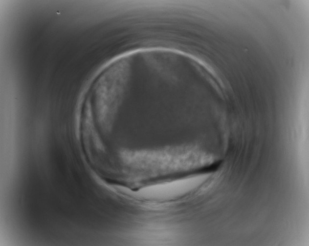 X0000089881535200707191947