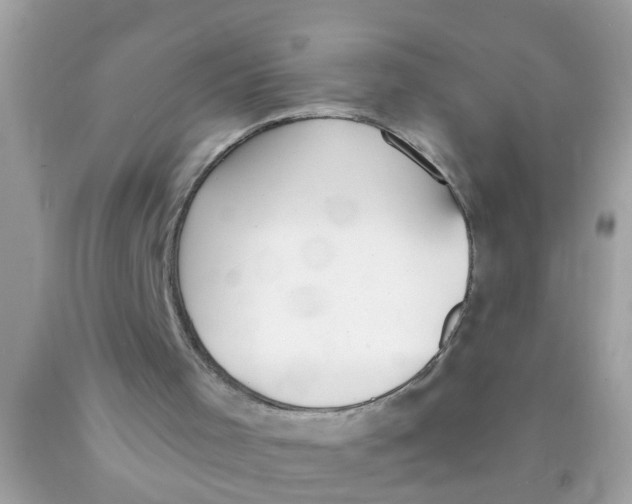 X0000089880001200707262219