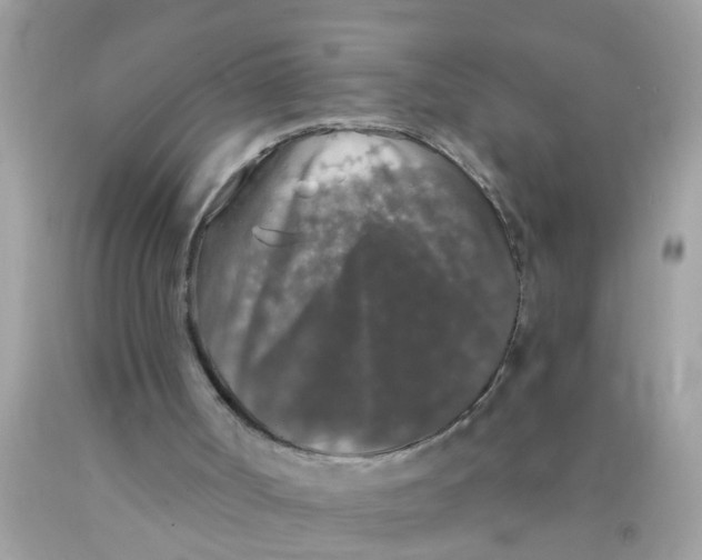 X0000089880002200707262219