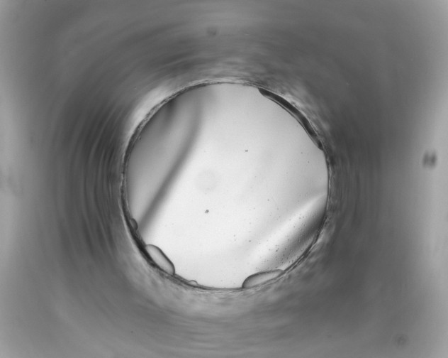 X0000089880003200707262219