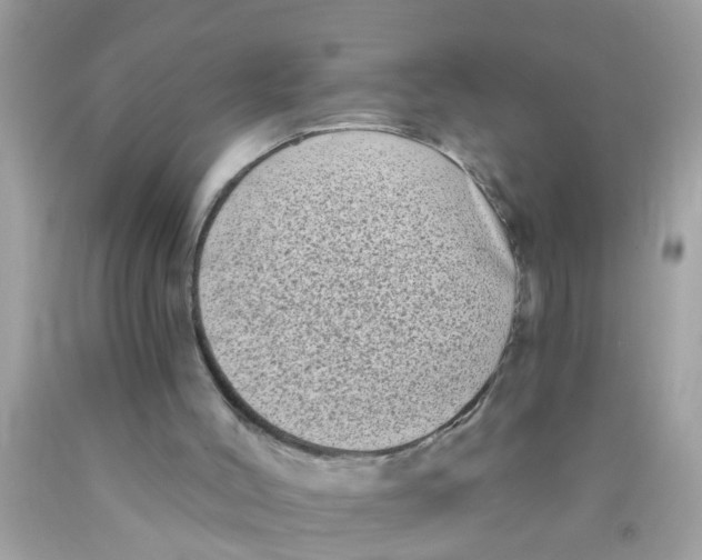 X0000089880004200707262219