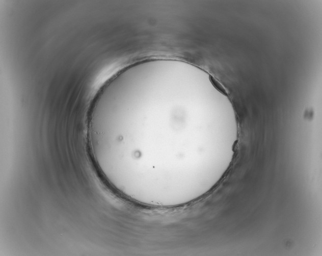 X0000089880005200707262219