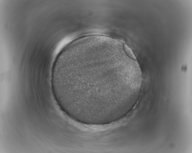 X0000089880006200707262219