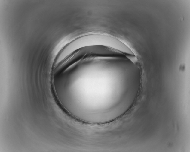 X0000089880007200707262219