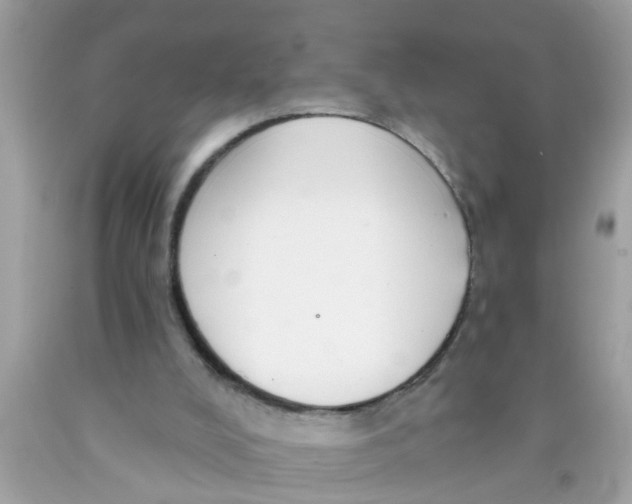 X0000089880008200707262219