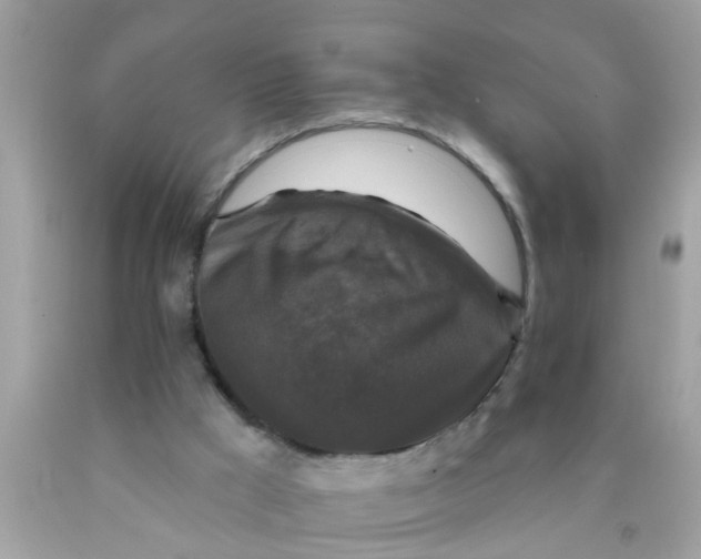 X0000089880009200707262219