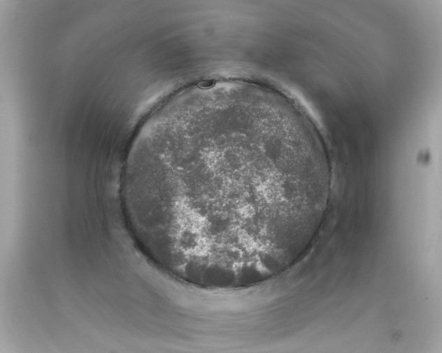 X0000089880010200707262219