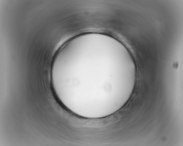 X0000089880011200707262219