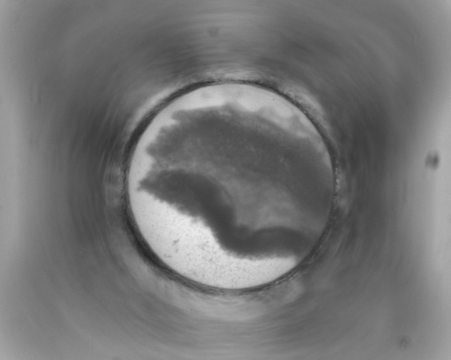 X0000089880012200707262219