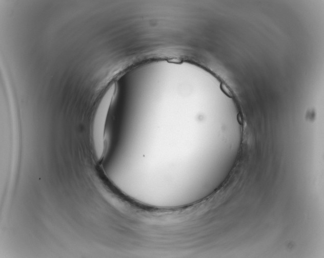 X0000089880013200707262219