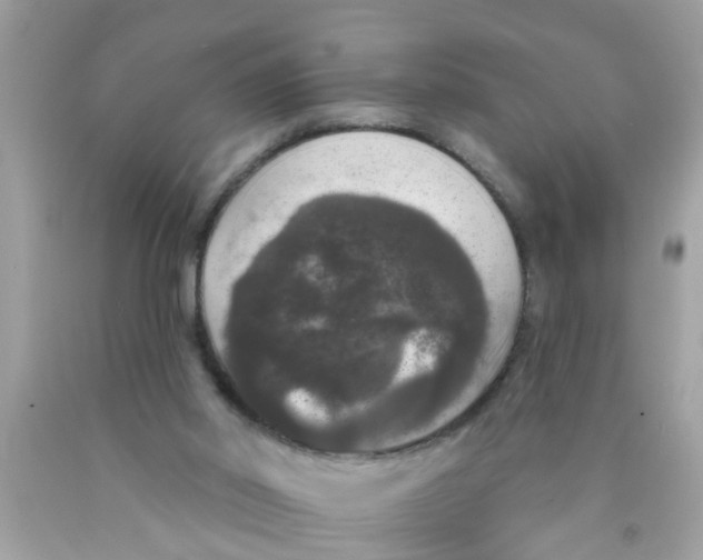 X0000089880014200707262219