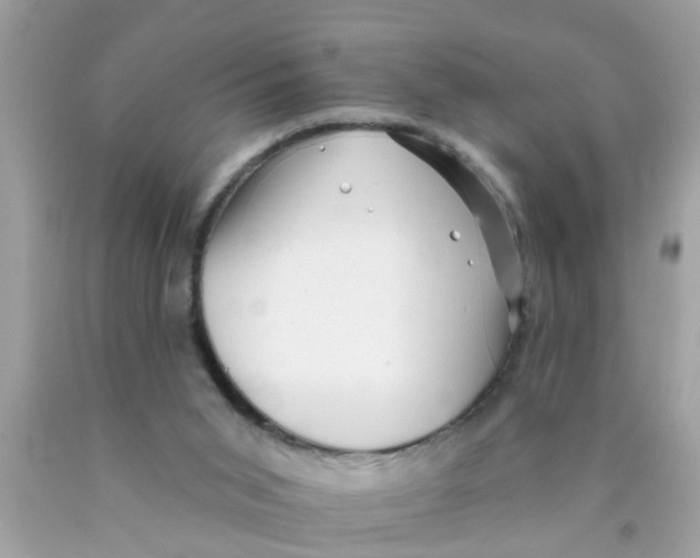 X0000089880015200707262219