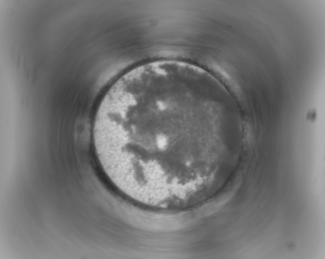 X0000089880016200707262219