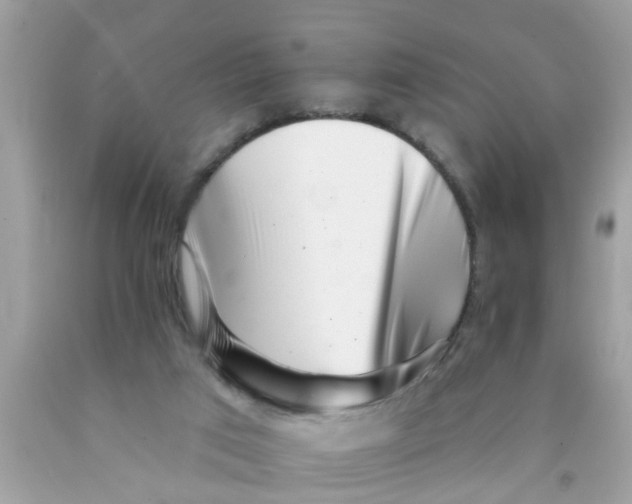 X0000089880017200707262218